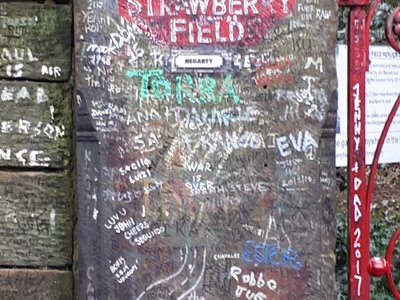 strawberry fields