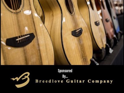 We love Breedlove Guitars!