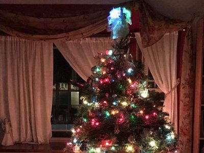 It's beginning to look a lot like...