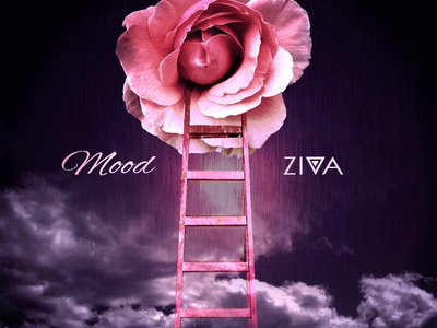 ZIVA photo