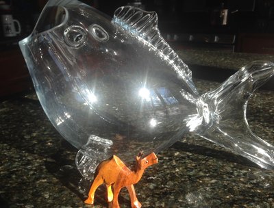 your camel?