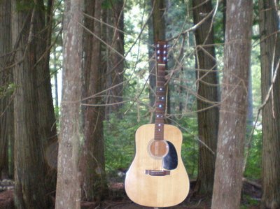 martin 01