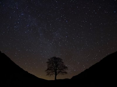 NT1078 photo