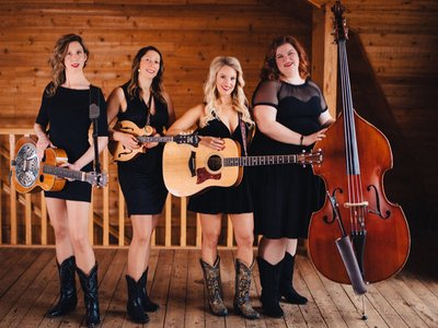 Fox Crossing Stringband photo