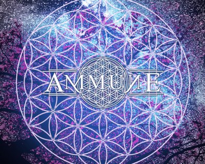 #weareallammune