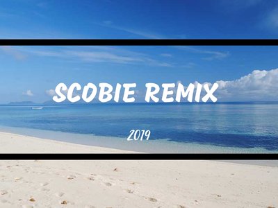SCOBIE Remix photo