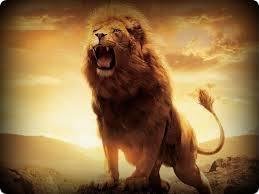 War Cry