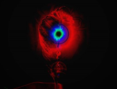 Last Fallen Leaf- Released January 19th 2018