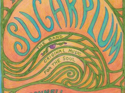 Sugarplum the Band photo