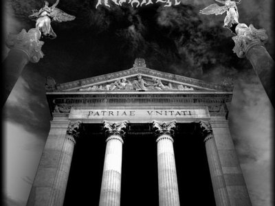 Noctifer photo