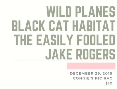 Black Cat Habitat photo