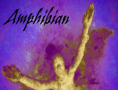 Amphibian Cover