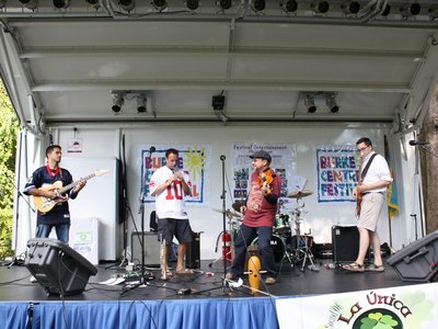 Burke Community Festival, VA