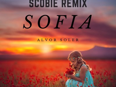 SCOBIE Remix photo