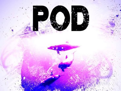 https://pinkdolphinmusic.bandcamp.com/album/pod-2