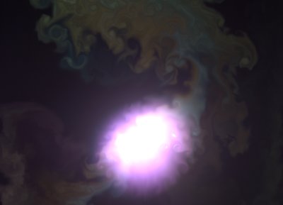 lucienumbers photo