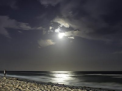 I dream of Adrianna and beach at night