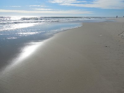 Tines and Tides