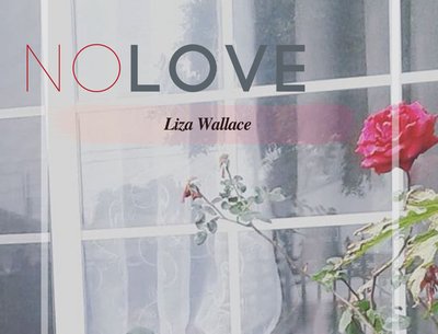 No Love Album Cover