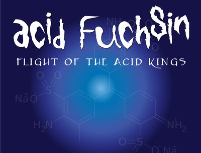 Vincent Medina | ACID FUCHSIN (acid fusion) photo