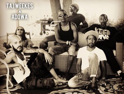 Taj Weekes photo