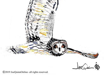 'Flyby' by Joe Quinn