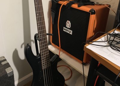 My black bass