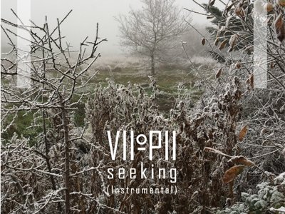 Seeking (Instrumental)