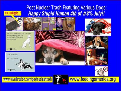 Happy Stupid Human 4th of July JPG