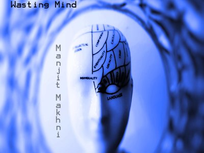 Wasting mind cover