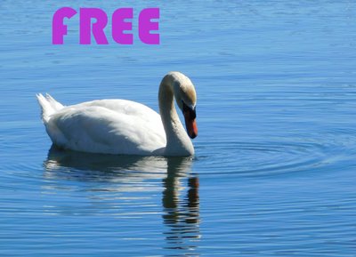 "Free" single