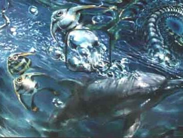 Dolphin by Stephane Poirier aka DJ-OIFII/VJ-OIFII