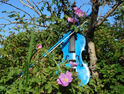 blues fiddle