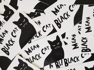 Mean Black Cat photo