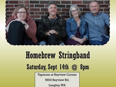 Homebrew Stringband photo