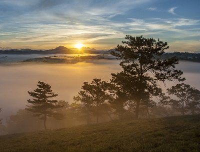 New Dawn