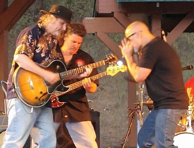 Blue Haven Blues Band photo