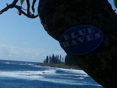 Blue Haven Blues Band photo