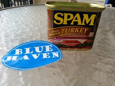 Blue Haven Blues Band photo