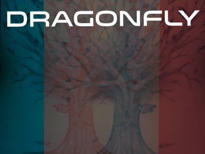 Dragonfly: The August First Numbers photo