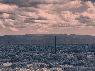 Karen Dahlstrom photo