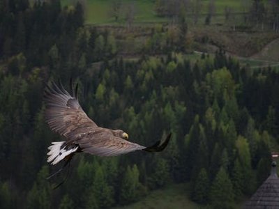 sounds of niederrhein photo