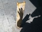 jordi sanz photo
