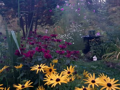 Voodoo Garden photo