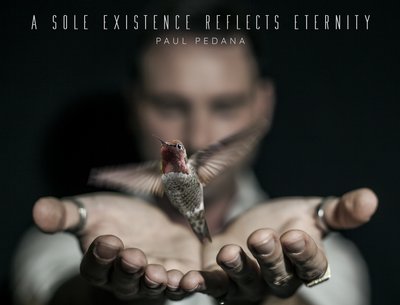 paul pedana a sole existence reflects eternity