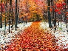 November