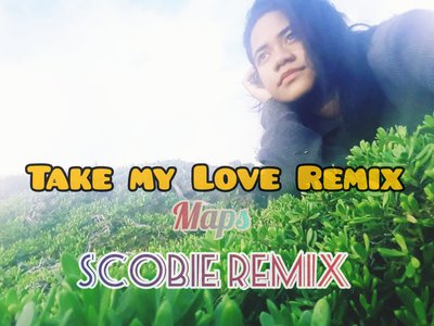 SCOBIE Remix photo