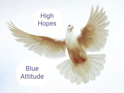 high hopes