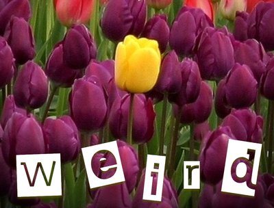 "Weird" Big Cover