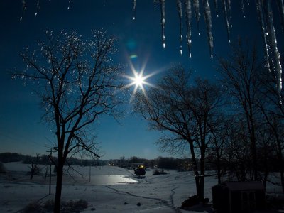 Steve Tichenor photo